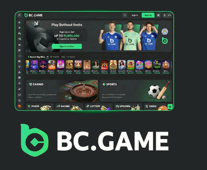 BC.Game Registration Guide Step-by-Step for New Players