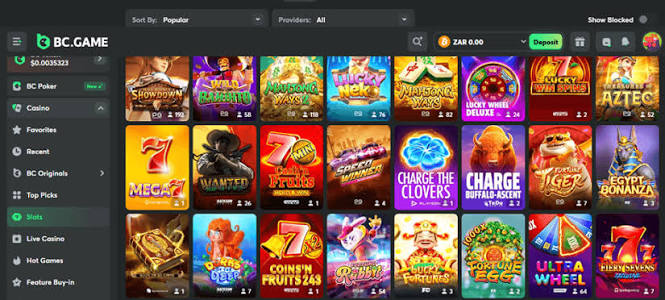 Exploring BC.Game India A Comprehensive Guide to Online Gaming -399872041