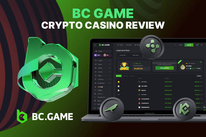 Understanding the BC.Game Login Process A Comprehensive Guide -325585713 Understanding the BC.Game Login Process A Comprehensive Guide -325585713